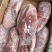 肥猪2号肉卷