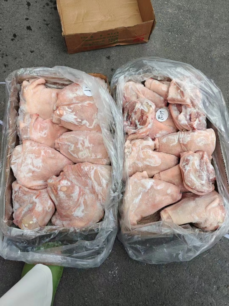 肥猪前肘