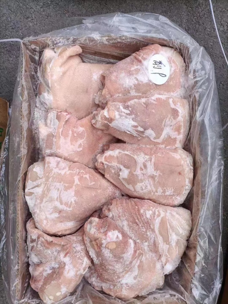 肥猪前肘
