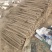 【实力推荐】双棒山药可视频看货河南产地可视频看货