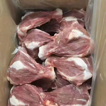 肥猪扇骨