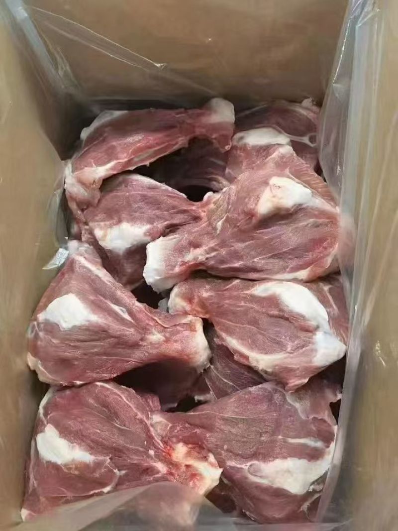 肥猪扇骨