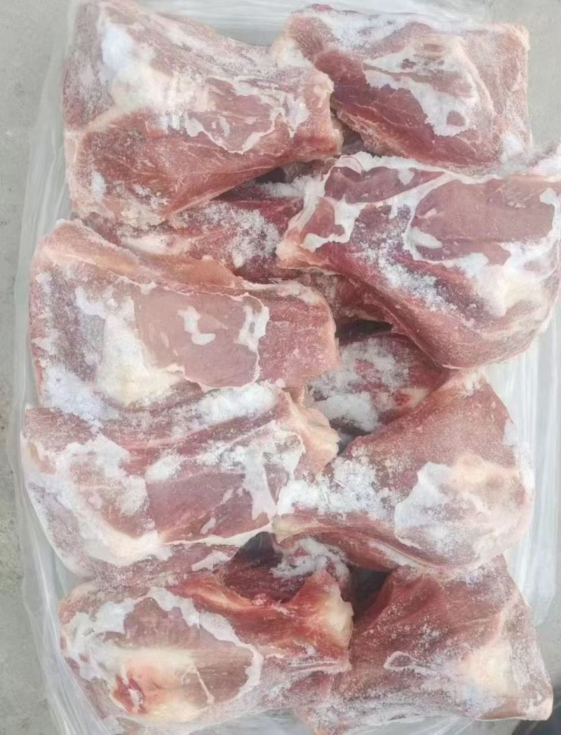 肥猪扇骨