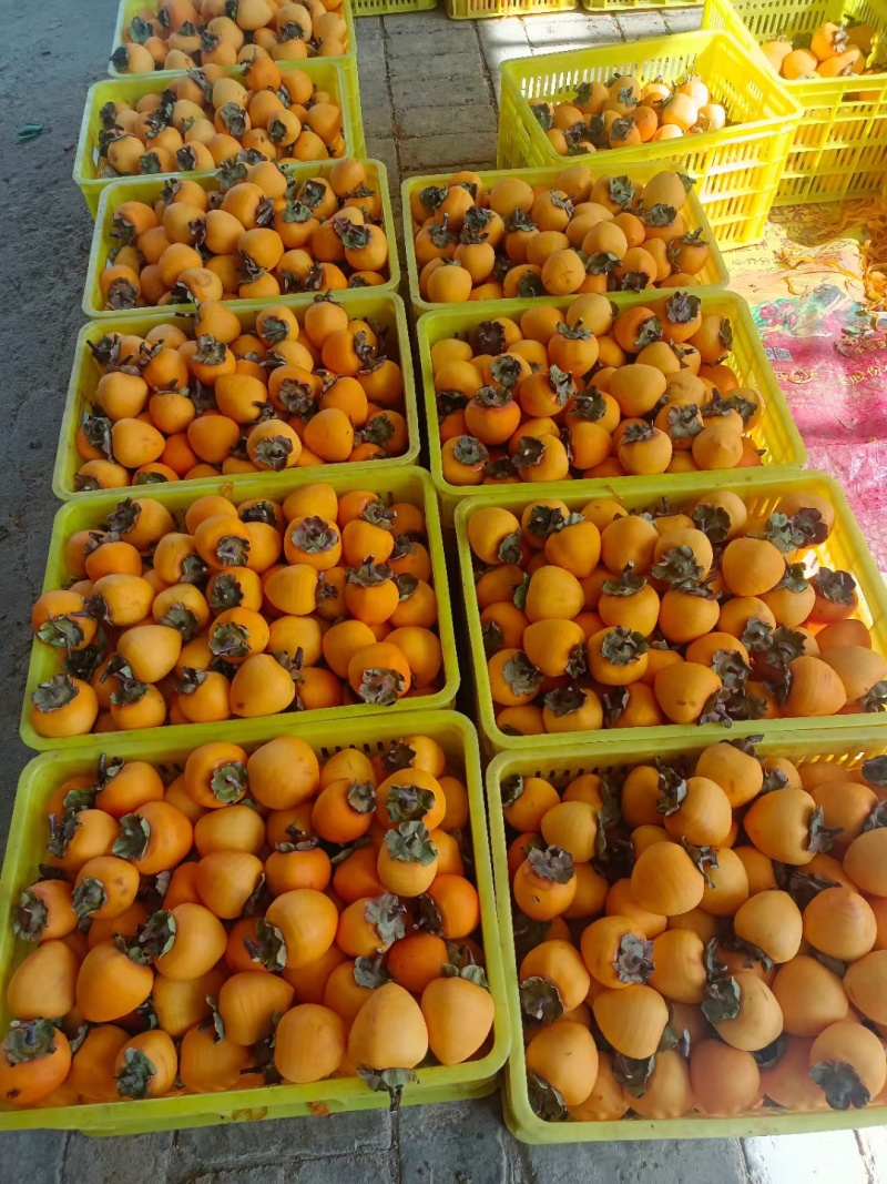 自己家的农产品