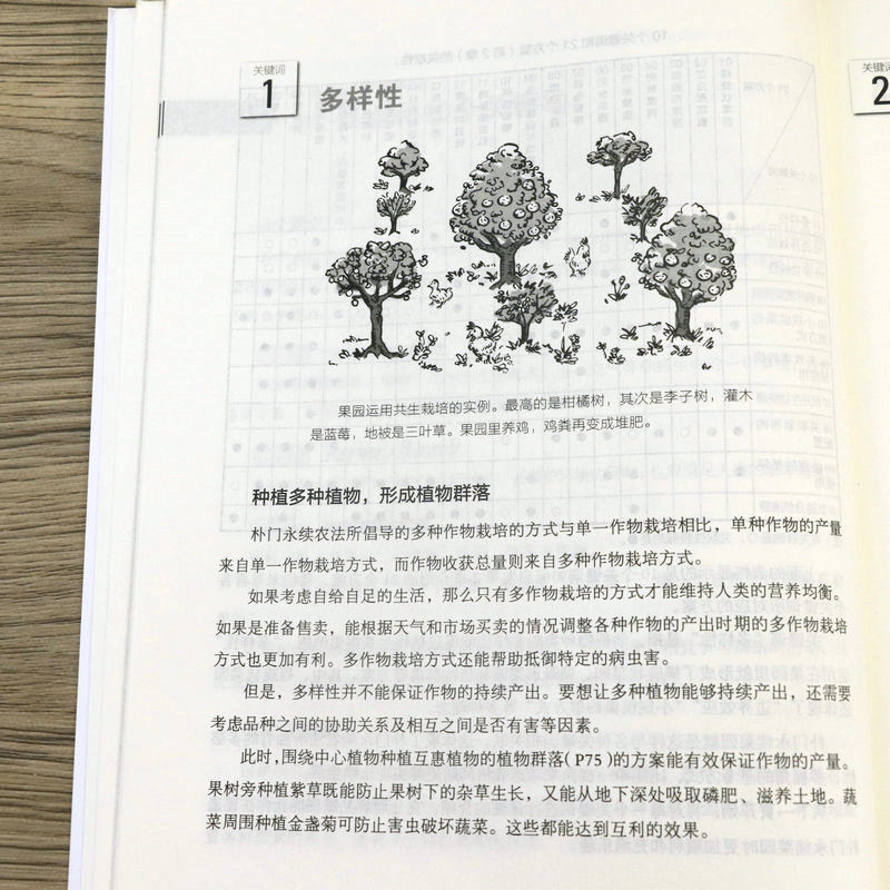 农业书籍全图解懒人农法设乐清和著