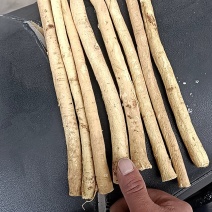 精品黄芪节子产地直发甘肃道地药材保真保量欢迎选购