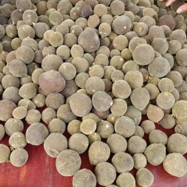 正品化州本土化橘红源头一手货，2斤起售，量大从优，