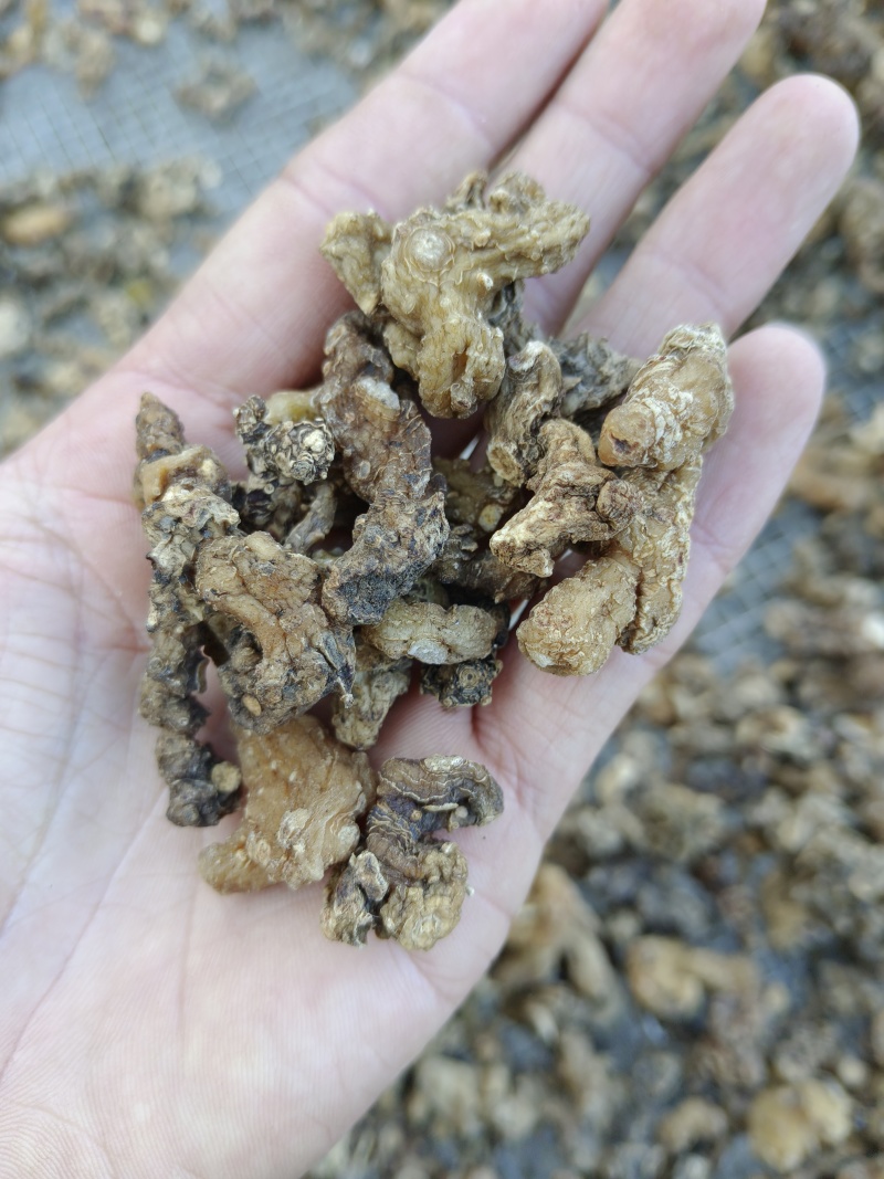 干货野生黄精段子熟黄精一蒸一晒碎段、茶包、打粉、投料