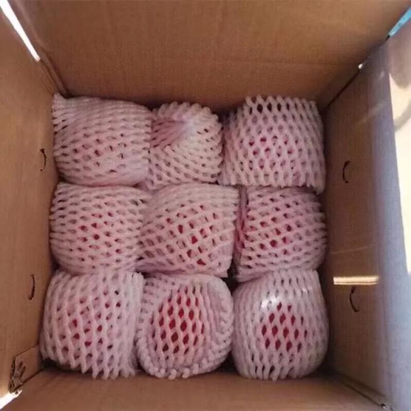 攀枝花露天老品种沙瓤西红柿水果番茄