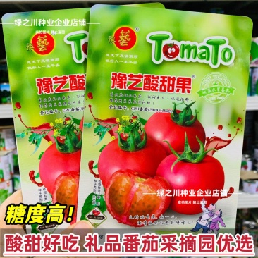 豫艺酸甜果番茄种子水果种子好吃草莓柿子种子酸酸甜甜西红柿