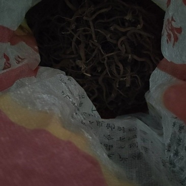 野生川牛膝
