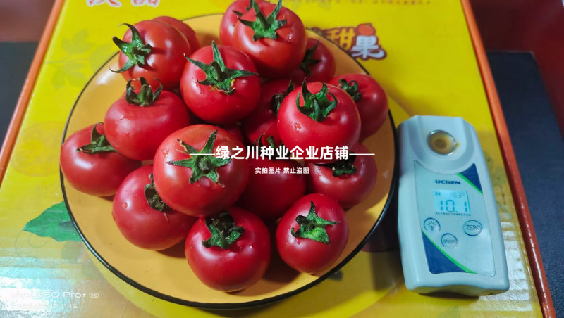 豫艺酸甜果番茄种子水果种子好吃草莓柿子种子酸酸甜甜西红柿