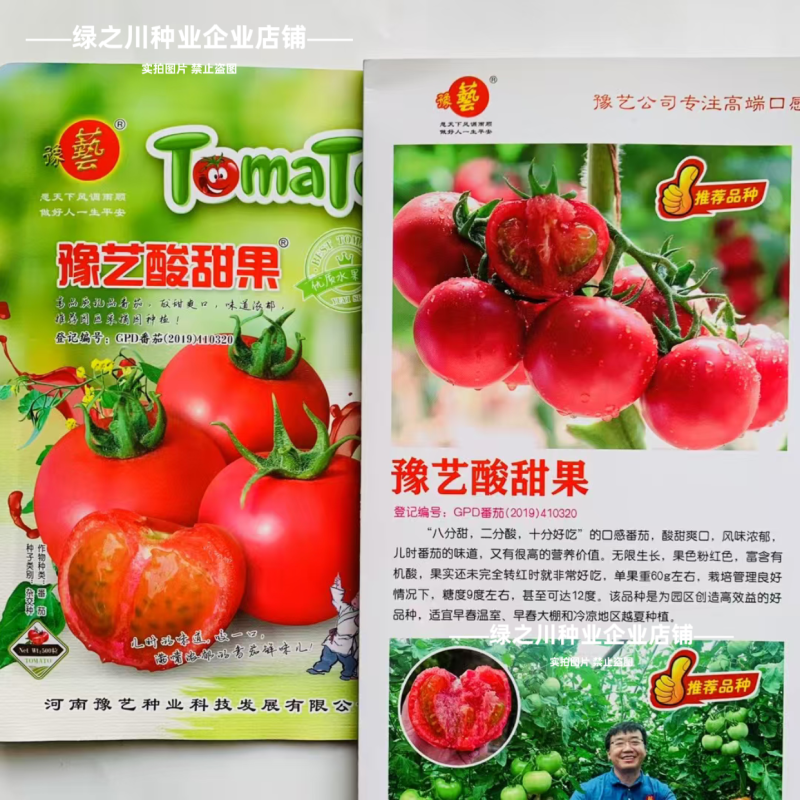 豫艺酸甜果番茄种子水果种子好吃草莓柿子种子酸酸甜甜西红柿