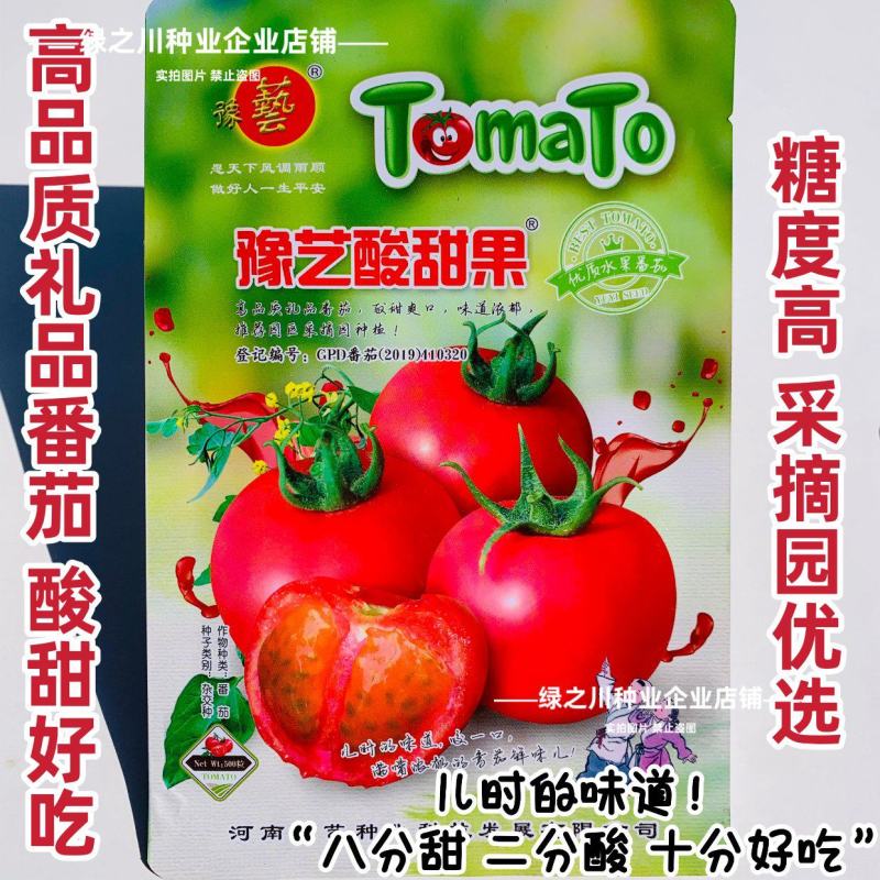 草莓西红柿种子河南豫艺酸甜果番茄种子草莓番茄种籽高糖番茄