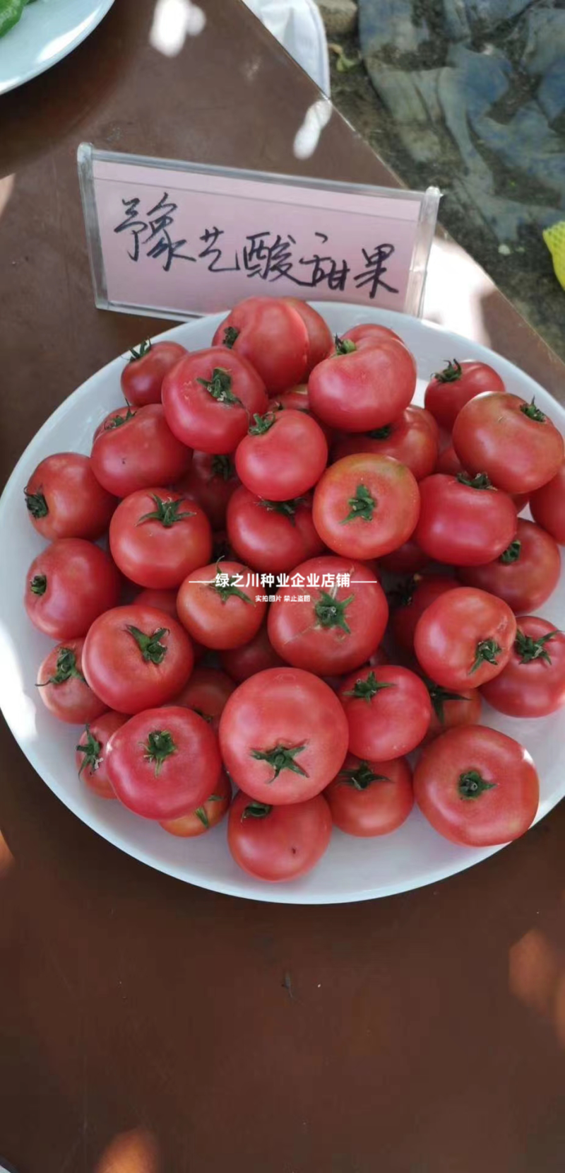 草莓西红柿种子河南豫艺酸甜果番茄种子草莓番茄种籽高糖番茄
