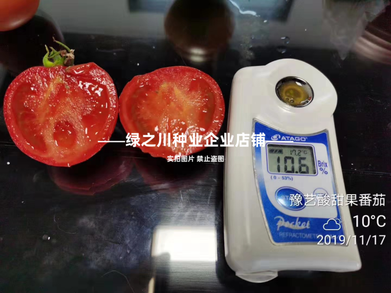 草莓西红柿种子河南豫艺酸甜果番茄种子草莓番茄种籽高糖番茄