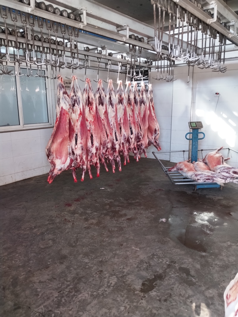 陕北横山山羊肉