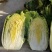 黄心白菜净菜4~6斤