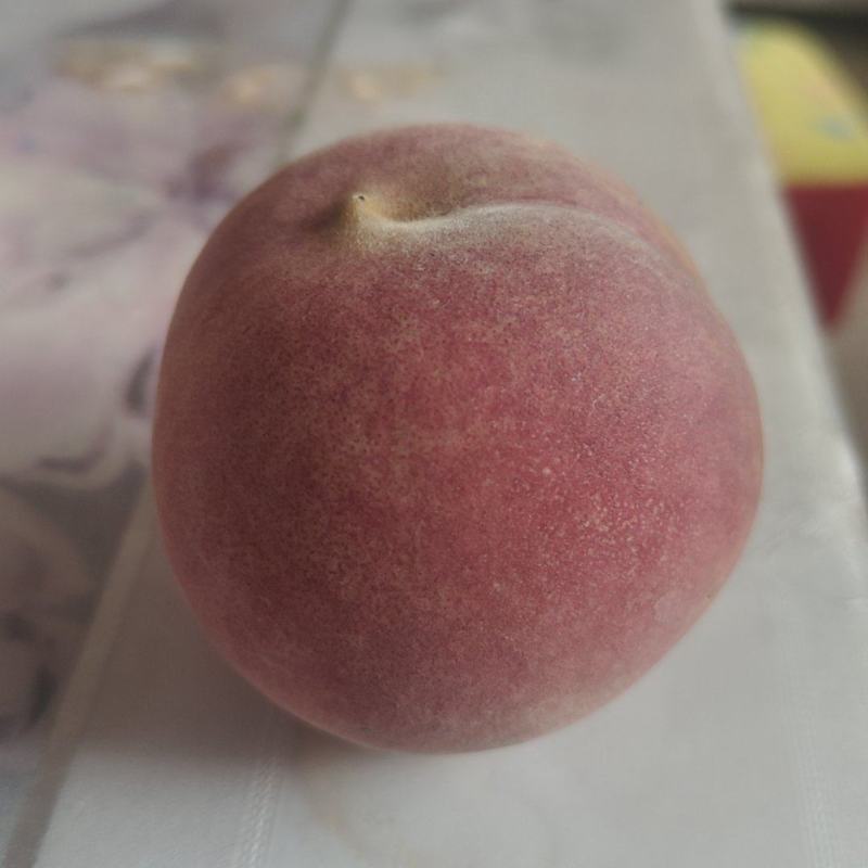 甜桃