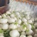 【推荐】湖北圆萝卜供应市场商超电商量大价优