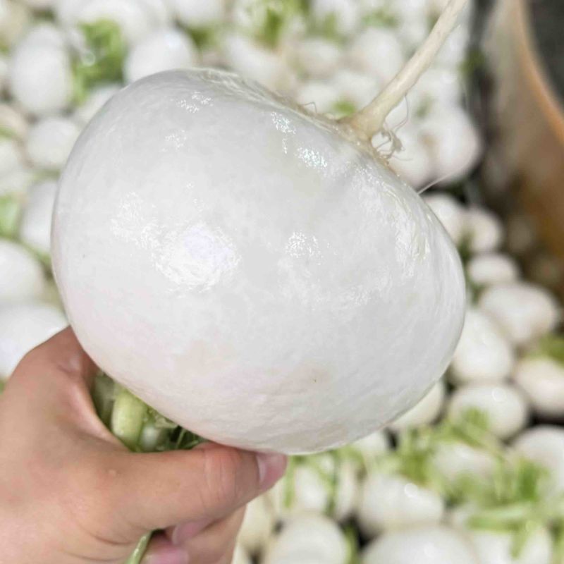 【推荐】湖北圆萝卜供应市场商超电商量大价优