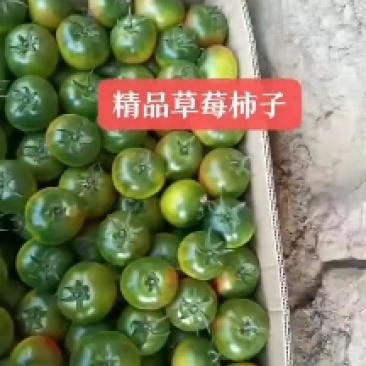 精品草莓柿子