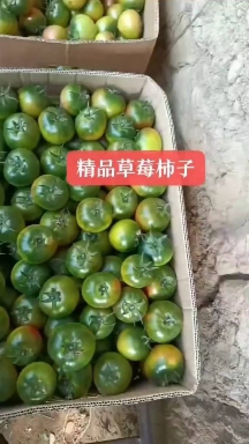 精品草莓柿子
