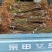 中油34油挑苗早熟黄肉浓甜个大丰产