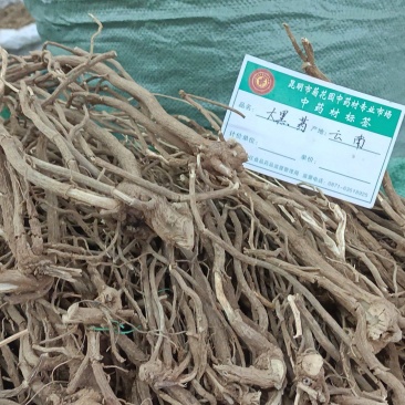 大黑药