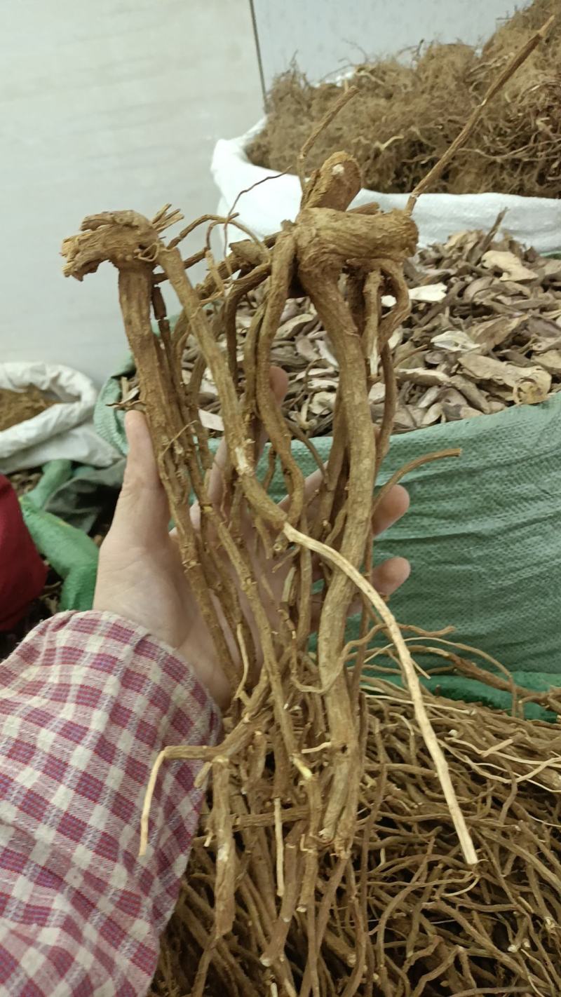 大黑药