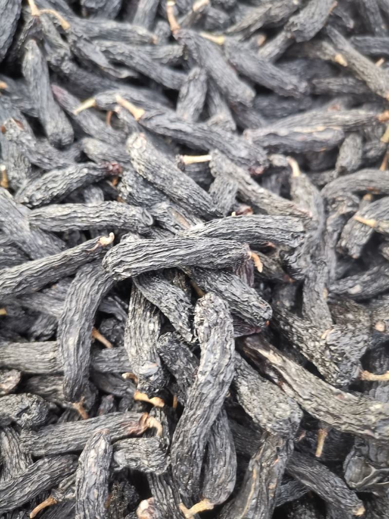 蓝宝石，超大颗粒葡萄干，葡萄干中的大哥大。