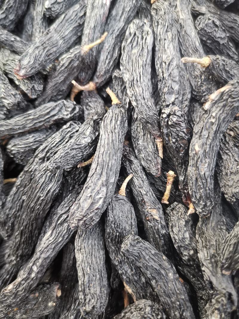 蓝宝石，超大颗粒葡萄干，葡萄干中的大哥大。