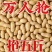 木柴炒花生干炒原味花生支持电商一件代发
