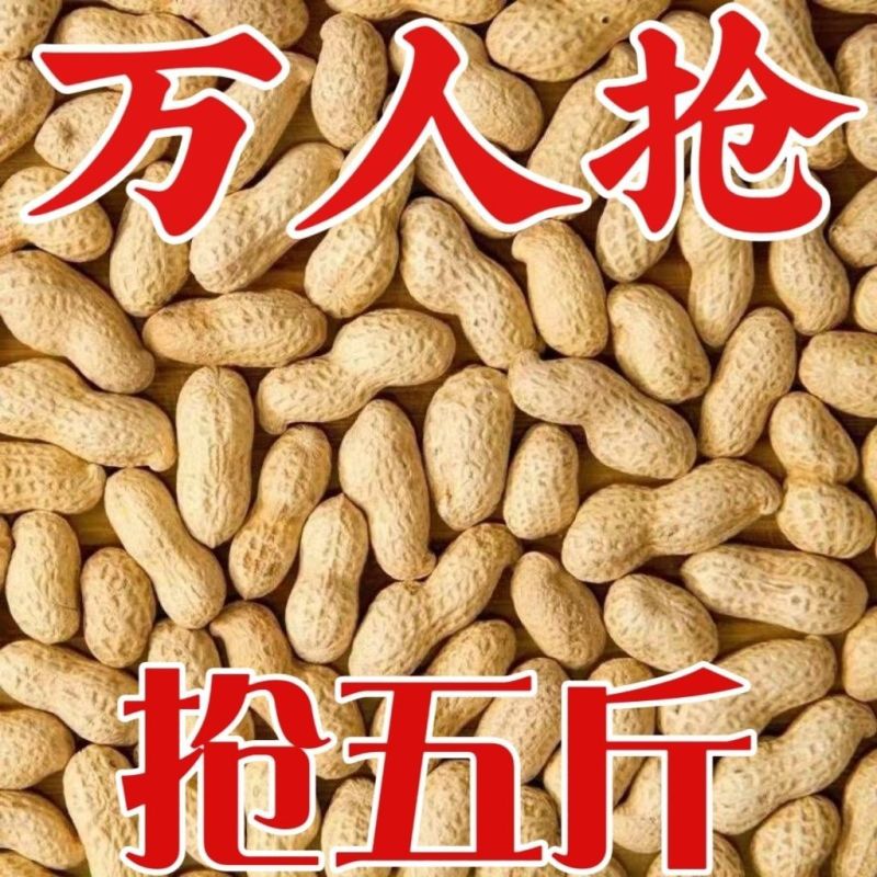 木柴炒花生干炒原味花生支持电商一件代发