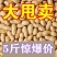 木柴炒花生干炒原味花生支持电商一件代发