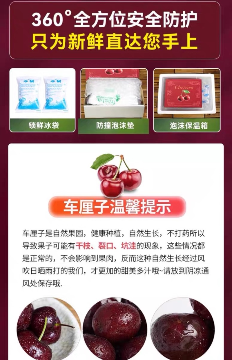 车厘子一件代发对接各平台电商直播团购包邮包售后可仓播
