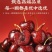 车厘子一件代发对接各平台电商直播团购包邮包售后可仓播