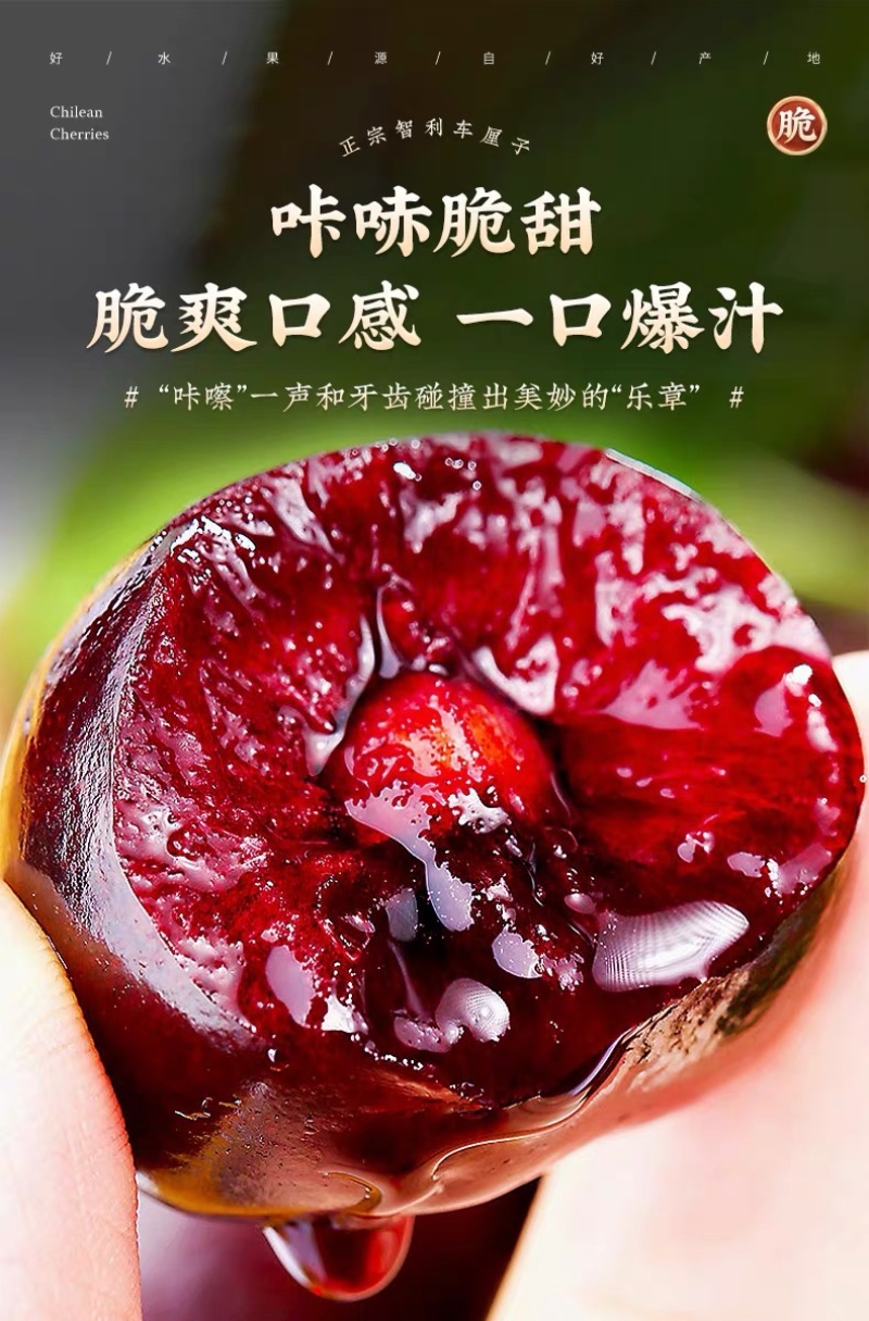 车厘子一件代发对接各平台电商直播团购包邮包售后可仓播
