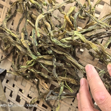 三级架豆王