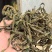 三级架豆王