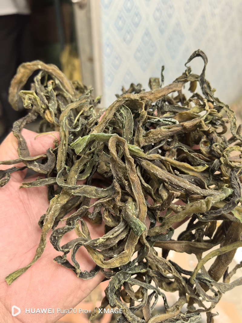 三级架豆王