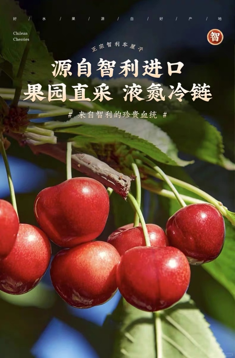 车厘子一件代发包邮包售后对接电商直播团购可仓播