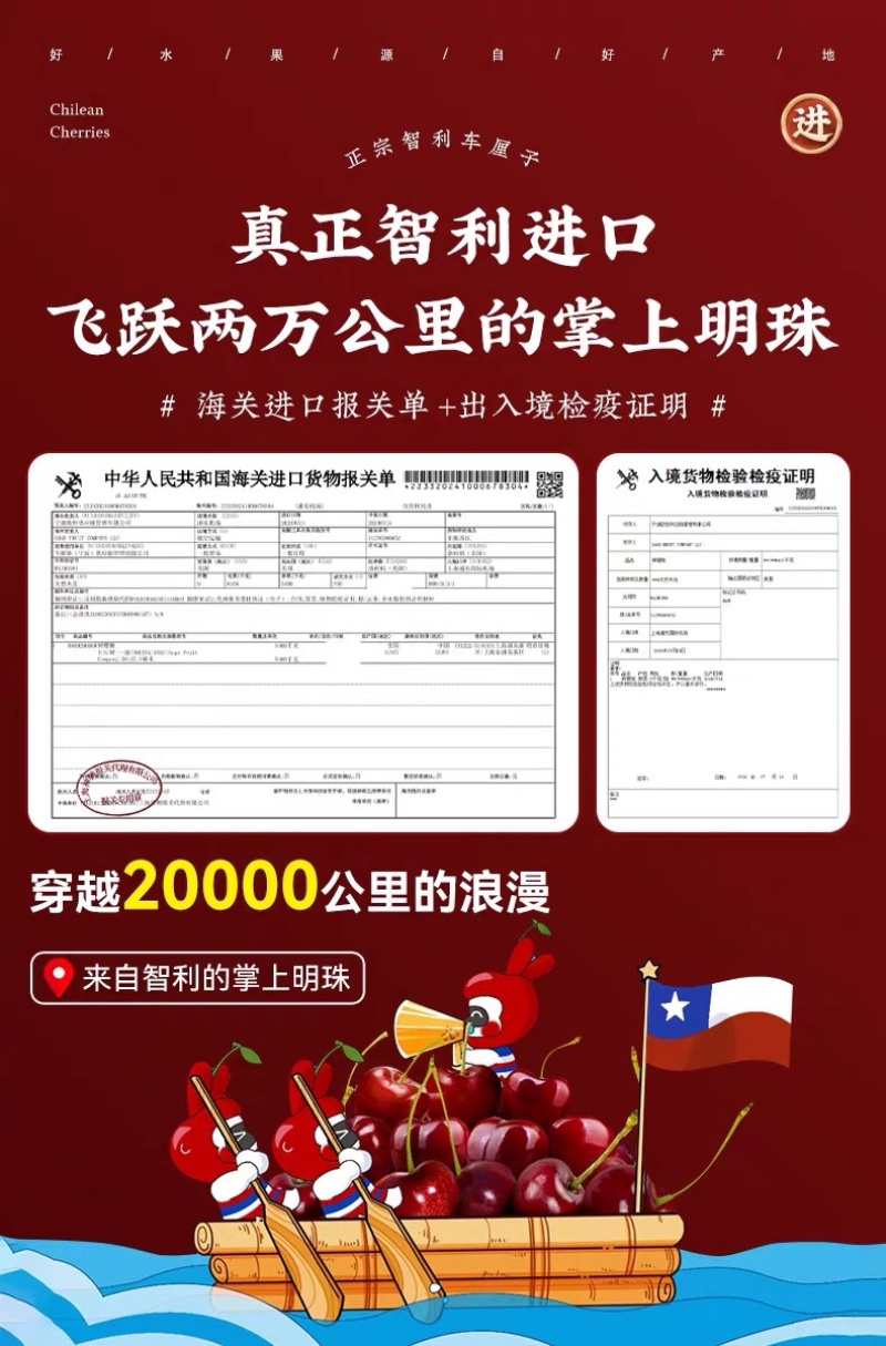 车厘子一件代发包邮包售后对接电商直播团购可仓播