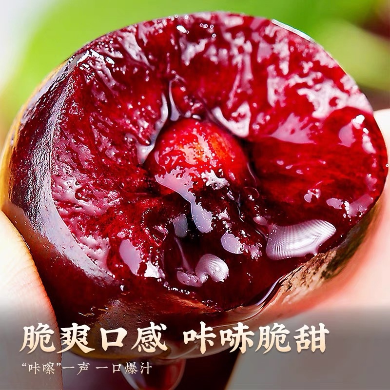 车厘子一件代发包邮包售后对接电商直播团购可仓播