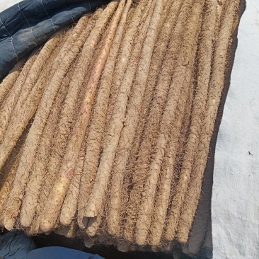 山药万亩基地，质量杠杠的，品种，白玉，西施，铁棍，九斤黄