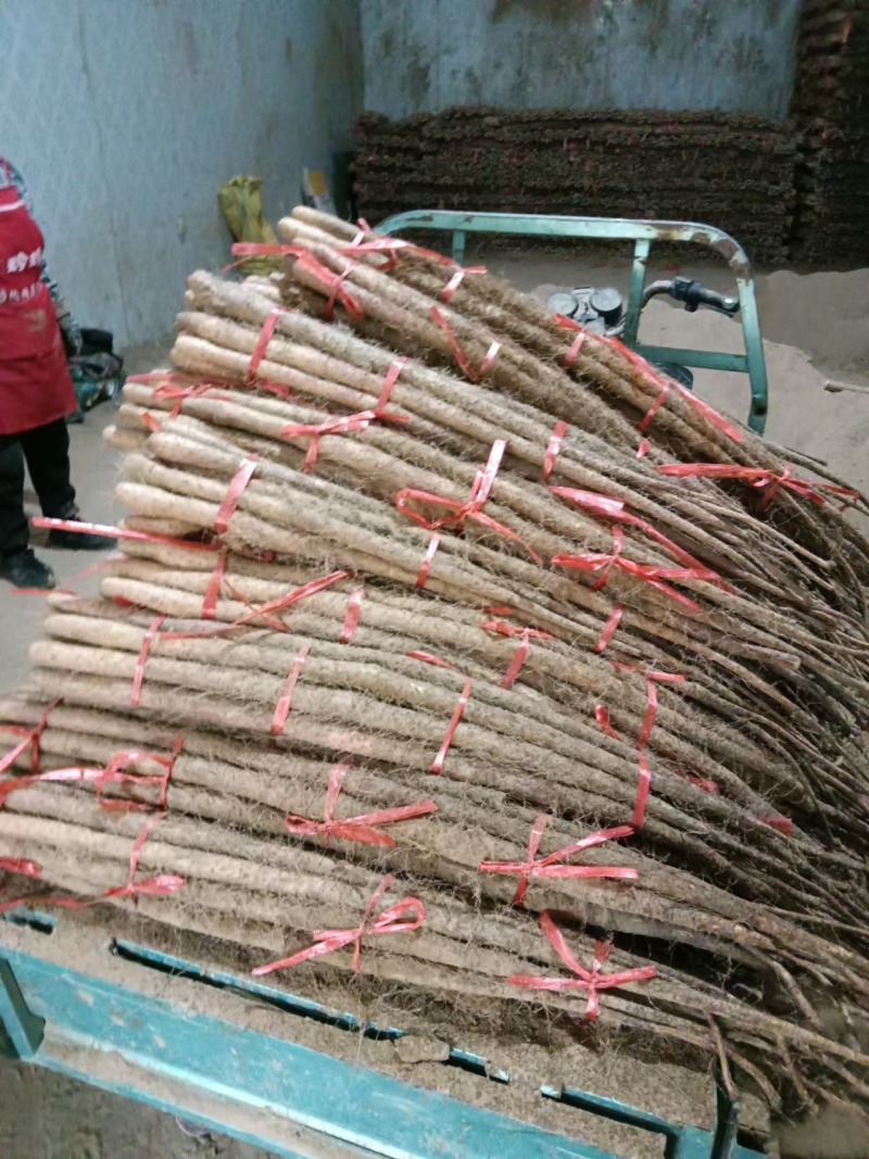 山药万亩基地，质量杠杠的，品种，白玉，西施，铁棍，九斤黄