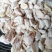 鸡嗉皮（大肉食817）纯手工制作，八成熟