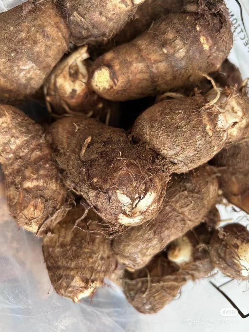 精品芋头，毛芋头大量供应，货源充足，对接各大电商商超市场