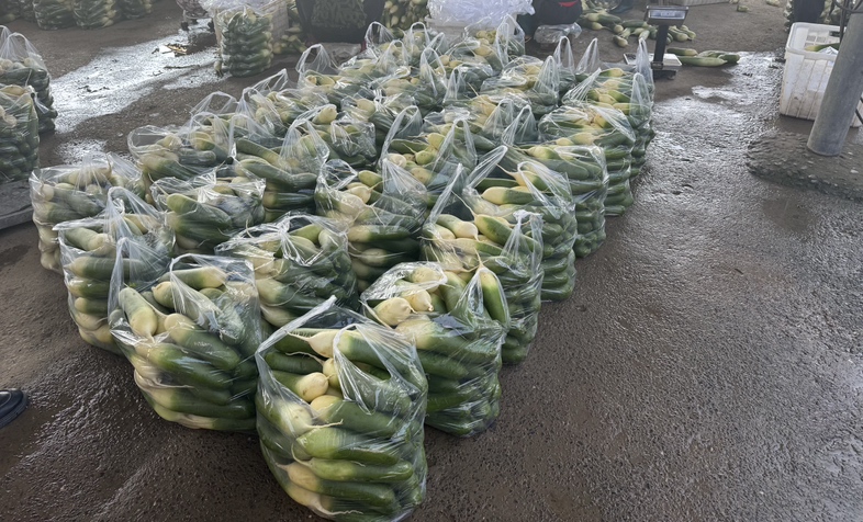 货架上陈列多种不同规格的青脆水果萝卜零售包装,包括透明塑料盒装、牛皮纸袋装、礼盒装,标签印有‘有机认证’‘即食脆萝卜’‘低卡高纤’等宣传语,背景为现代超市生鲜区 青脆水果萝卜零售包装展示