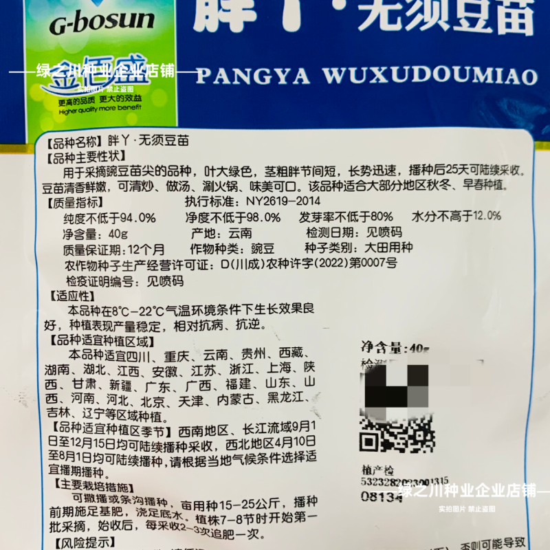 胖丫无须豌豆种子豌豆苗种子四季豌豆尖种籽清香芽苗菜云南豌